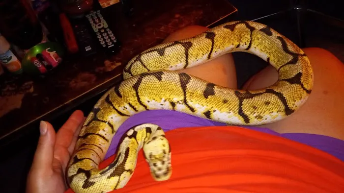 Cage-N-Tank Picture 4