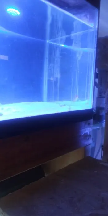 Cage-N-Tank Picture 1