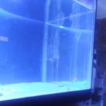 Cage-N-Tank