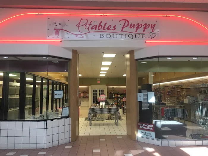 Petables Puppy Boutique Picture 4