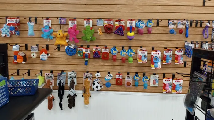Petables Puppy Boutique Picture 1