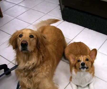 Banfield Huntington Veterinary Hospital