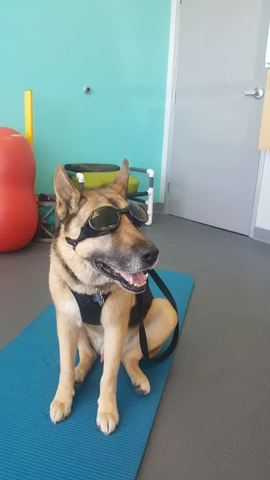 Healthy Paws Veterinary Care Picture 3