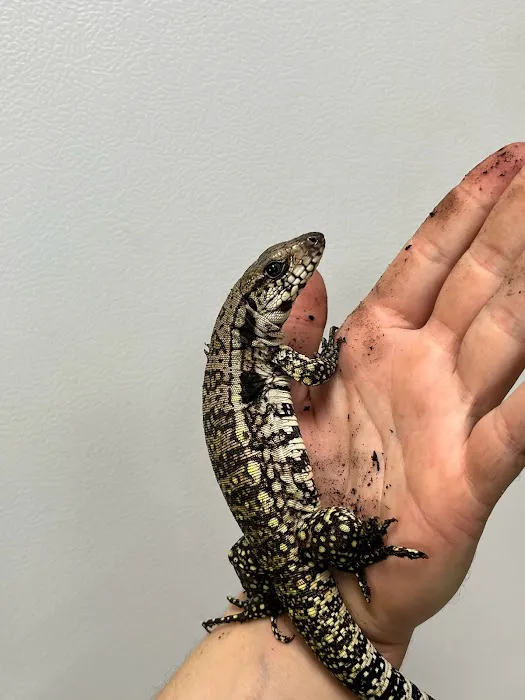 The Reptile Depot Picture 2