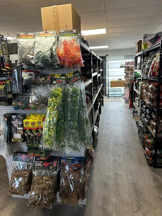 The Reptile Depot Picture 10