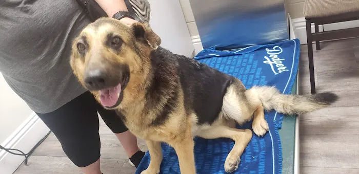 Adams Animal Hospital Picture 1