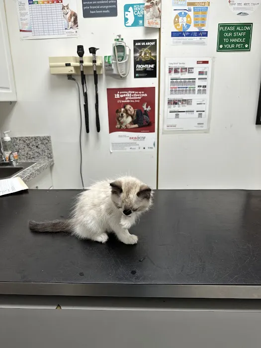 Adams Animal Hospital Picture 5