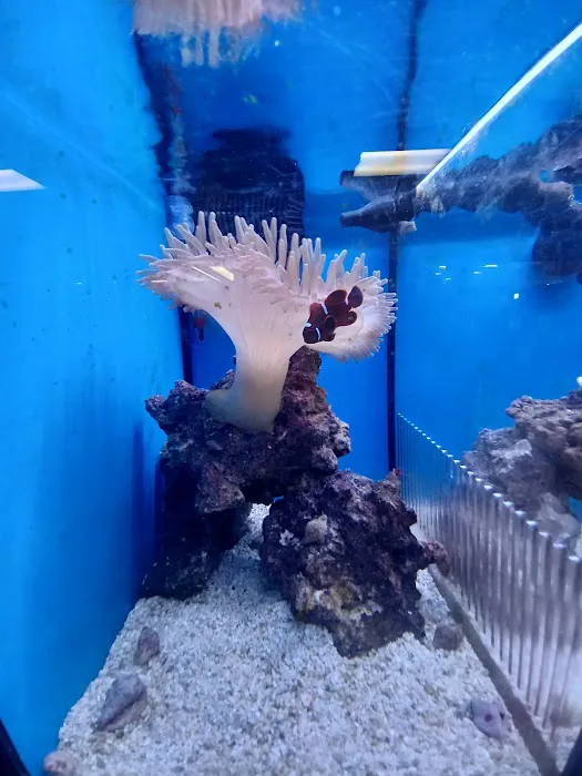 Petco Picture 1