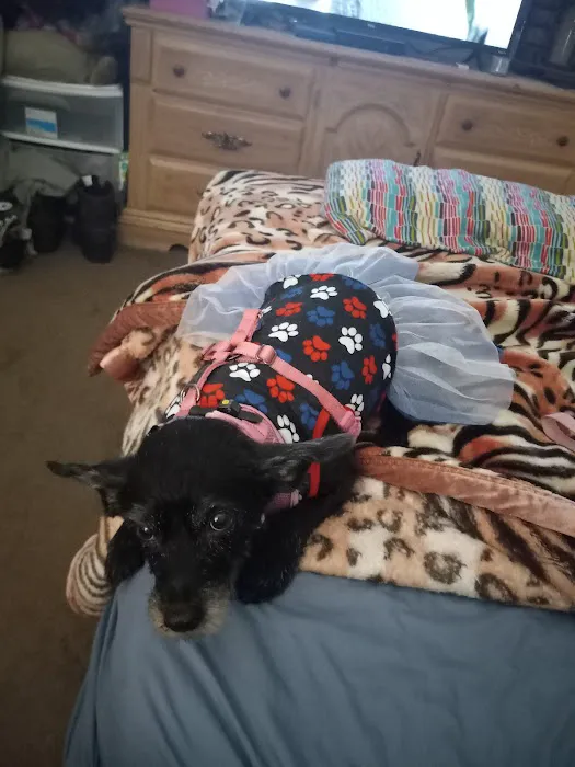 Walnut Valley Animal Hospital Picture 9
