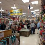 The Pet Shop