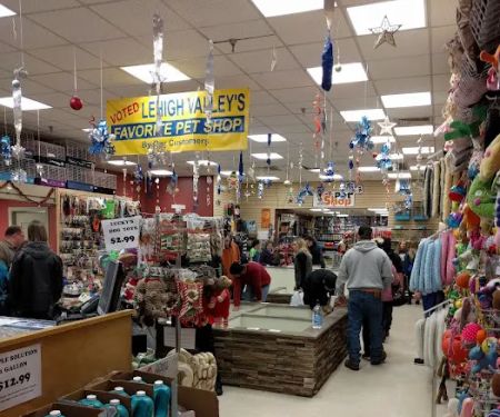 The Pet Shop