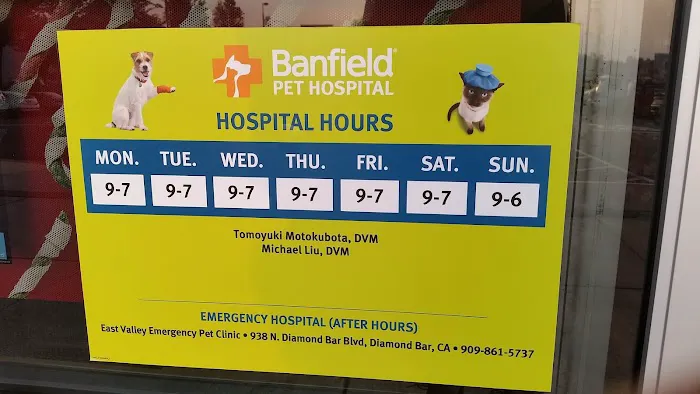 Banfield Pet Hospital Picture 7