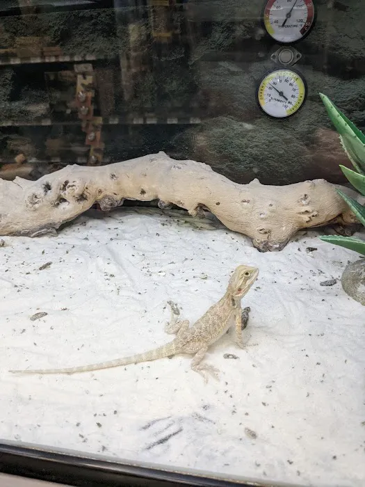 Petco Picture 5