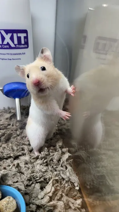 Petco Picture 7