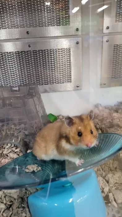 Petco Picture 10