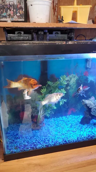 Petco Picture 6