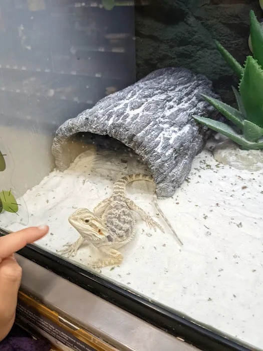 Petco Picture 4