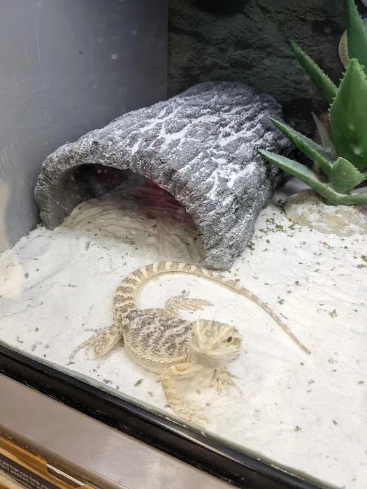 Petco Picture 2