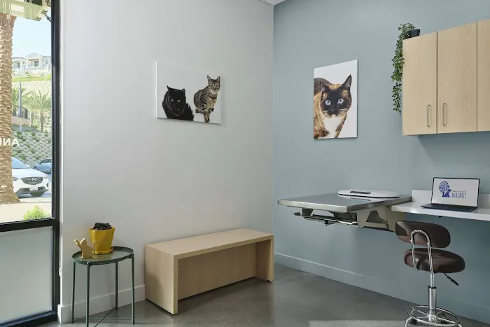 Animal Hospital of Walnut Picture 1