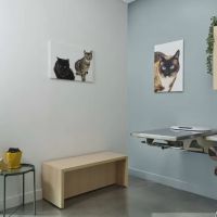 Animal Hospital of Walnut ico