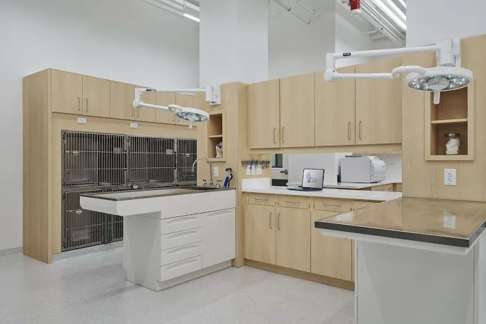 Animal Hospital of Walnut Picture 9
