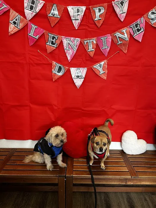 Diamond Bar Veterinary Clinic Picture 7