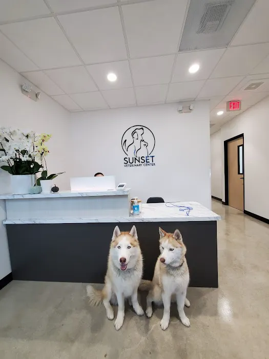 Sunset Veterinary Center Picture 2