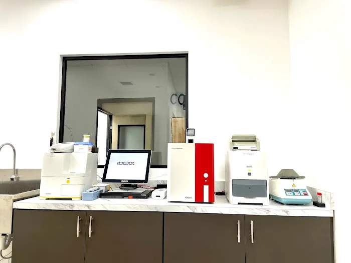 Sunset Veterinary Center Picture 4