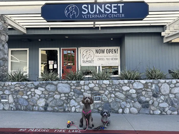 Sunset Veterinary Center Picture 8