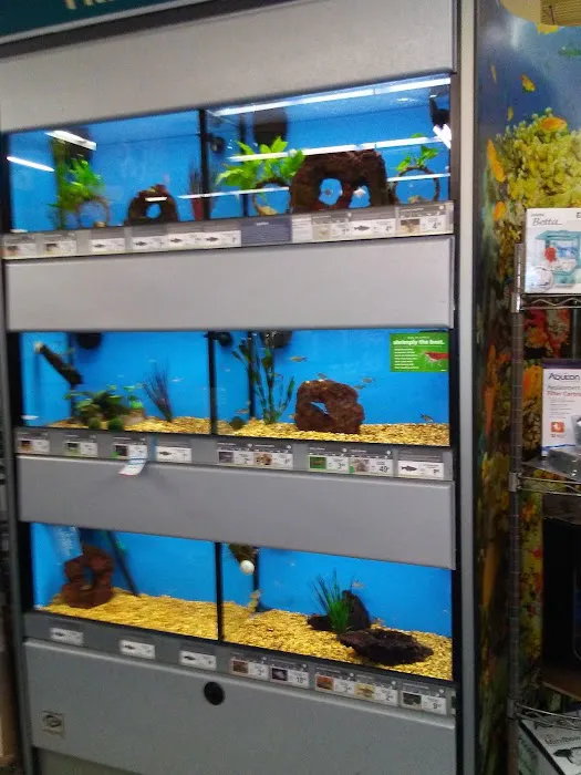 Petco Picture 4