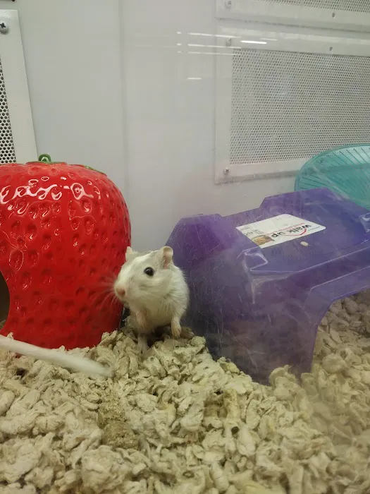 Petco Picture 8
