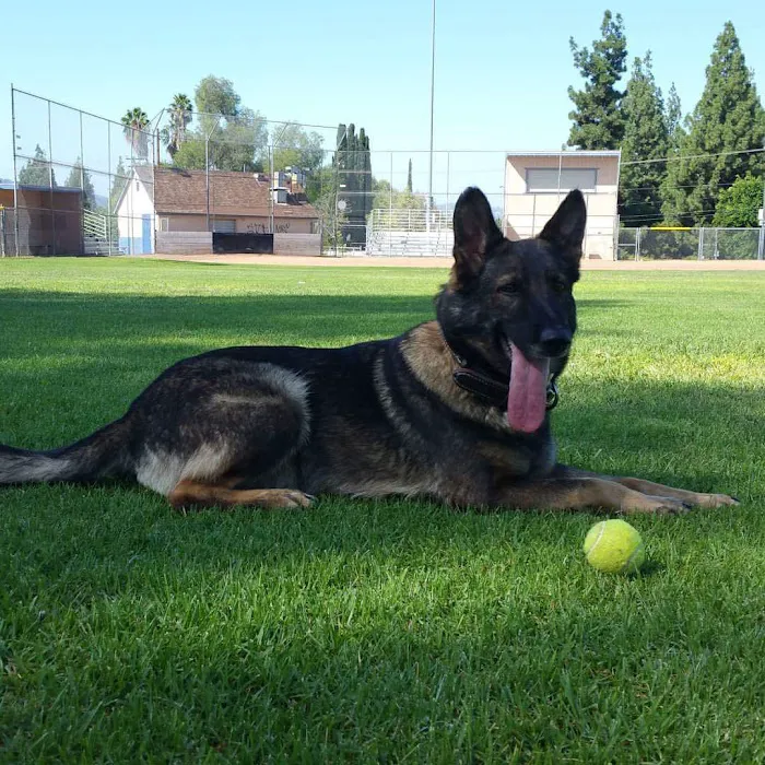 East Valley Emergency Pet Clinic Picture 7