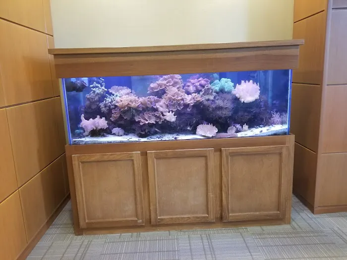 Aquarium Management Systems Picture 4