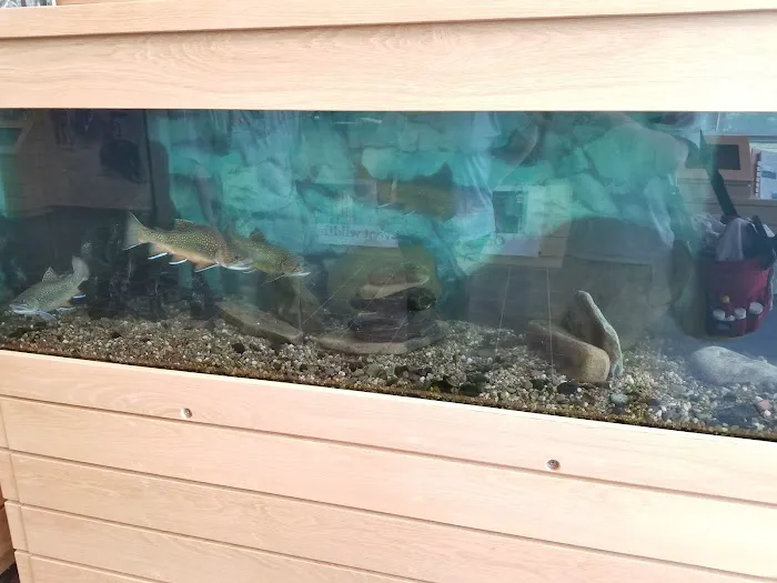 Aquarium Management Systems Picture 9