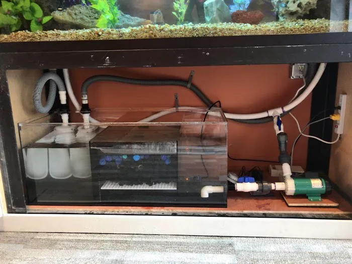 Aquarium Management Systems Picture 6