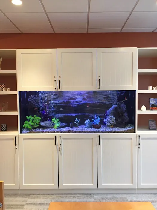 Aquarium Management Systems Picture 2