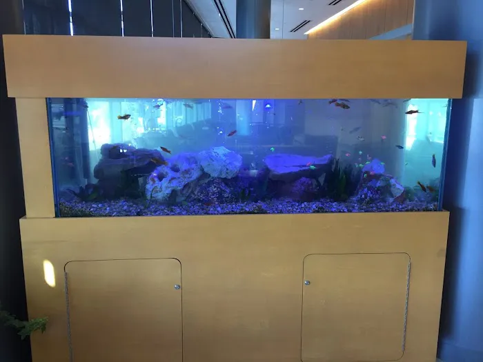 Aquarium Management Systems Picture 7