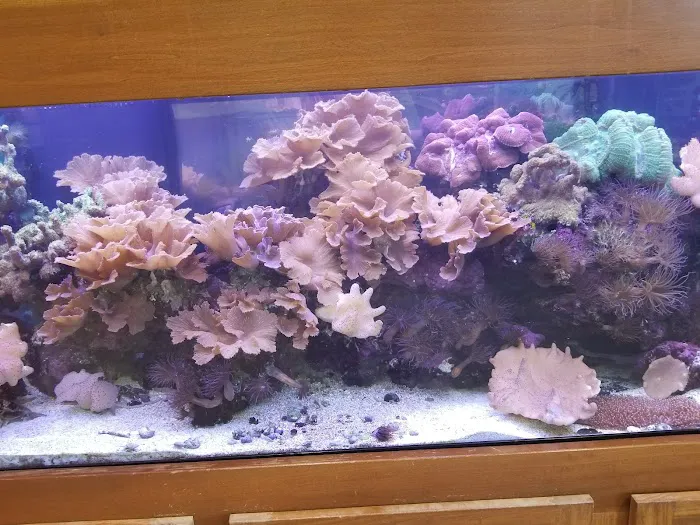 Aquarium Management Systems Picture 10