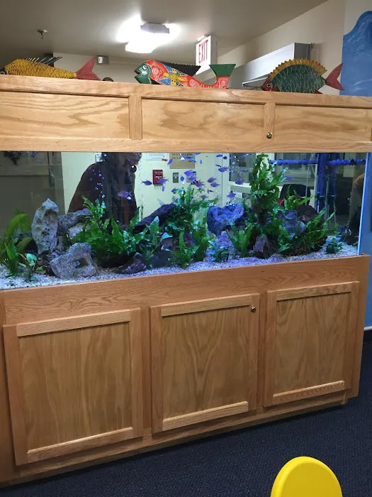 Aquarium Management Systems Picture 5