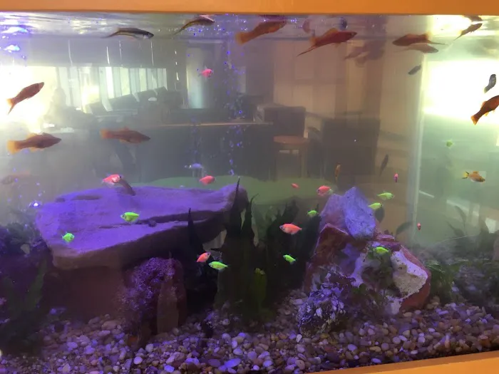 Aquarium Management Systems Picture 3