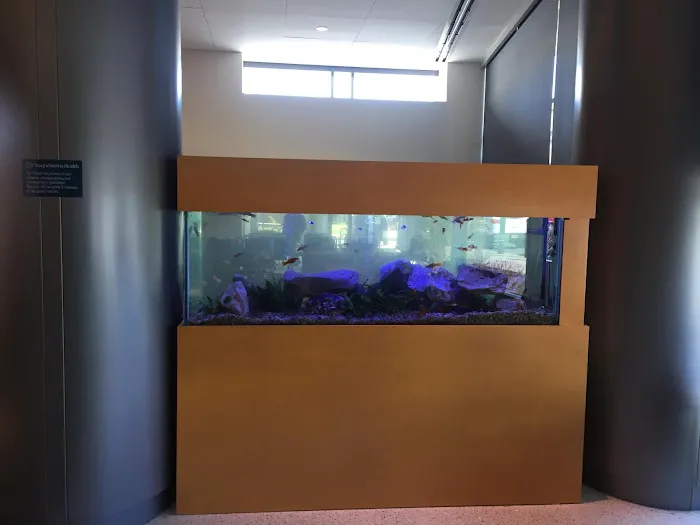 Aquarium Management Systems Picture 1