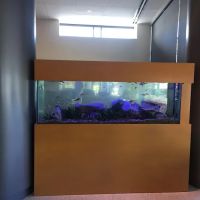 Aquarium Management Systems ico