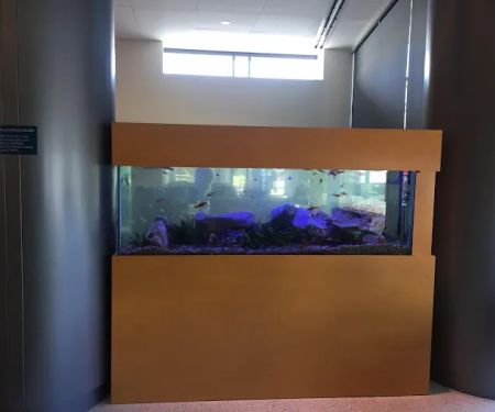Aquarium Management Systems