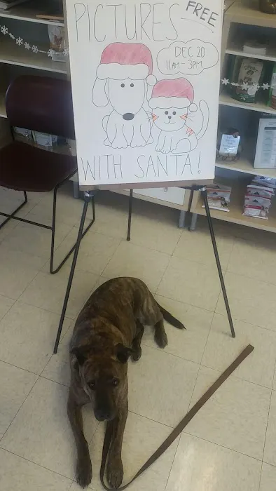 All Pets Medical and Surgical Center Picture 2