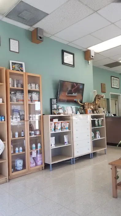 All Pets Medical and Surgical Center Picture 4