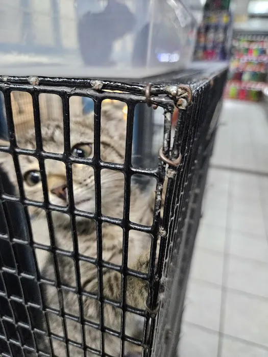 Pet World Picture 5