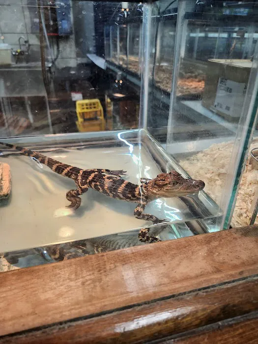 Pet World Picture 9