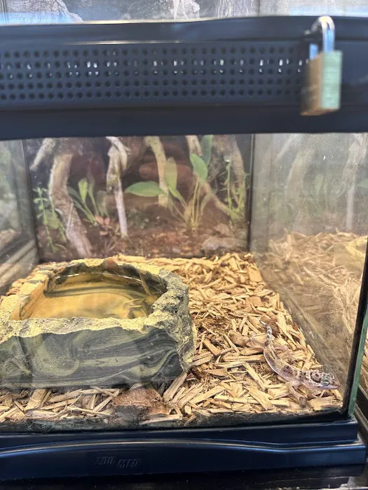 Pet World Picture 10