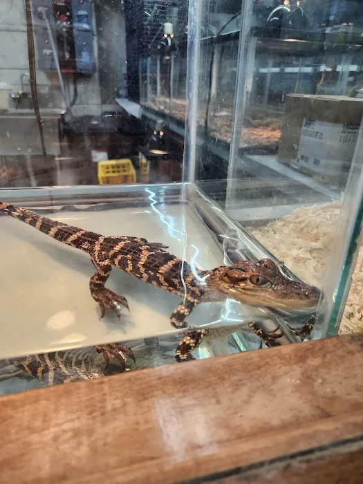 Pet World Picture 3