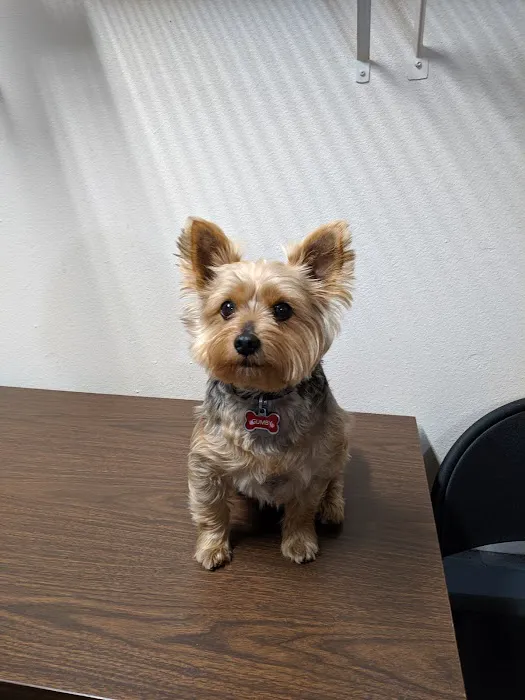 Grand Animal Hospital Picture 4